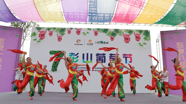 彭山葡萄節(jié)活動策劃