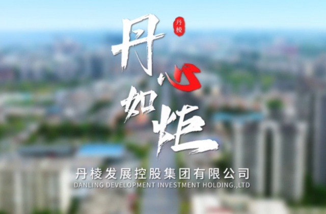 丹棱發(fā)展控股集團(tuán)